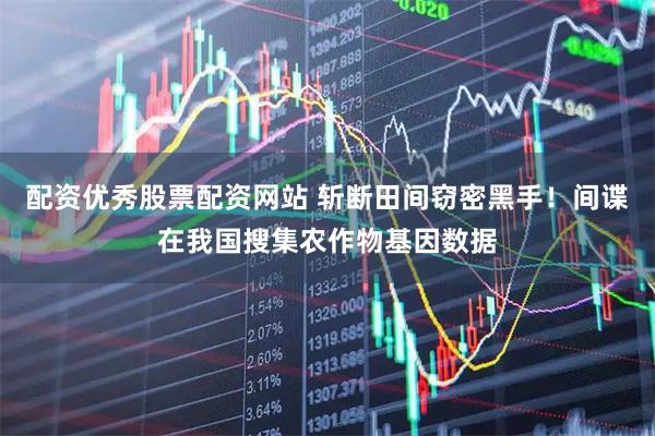 配资优秀股票配资网站 斩断田间窃密黑手！间谍在我国搜集农作物基因数据